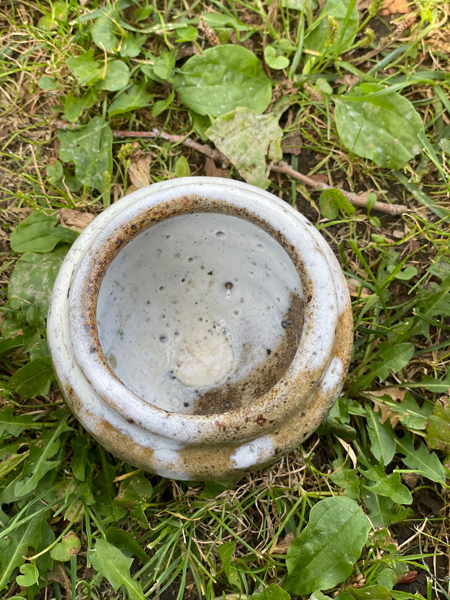 White Speckled Cup